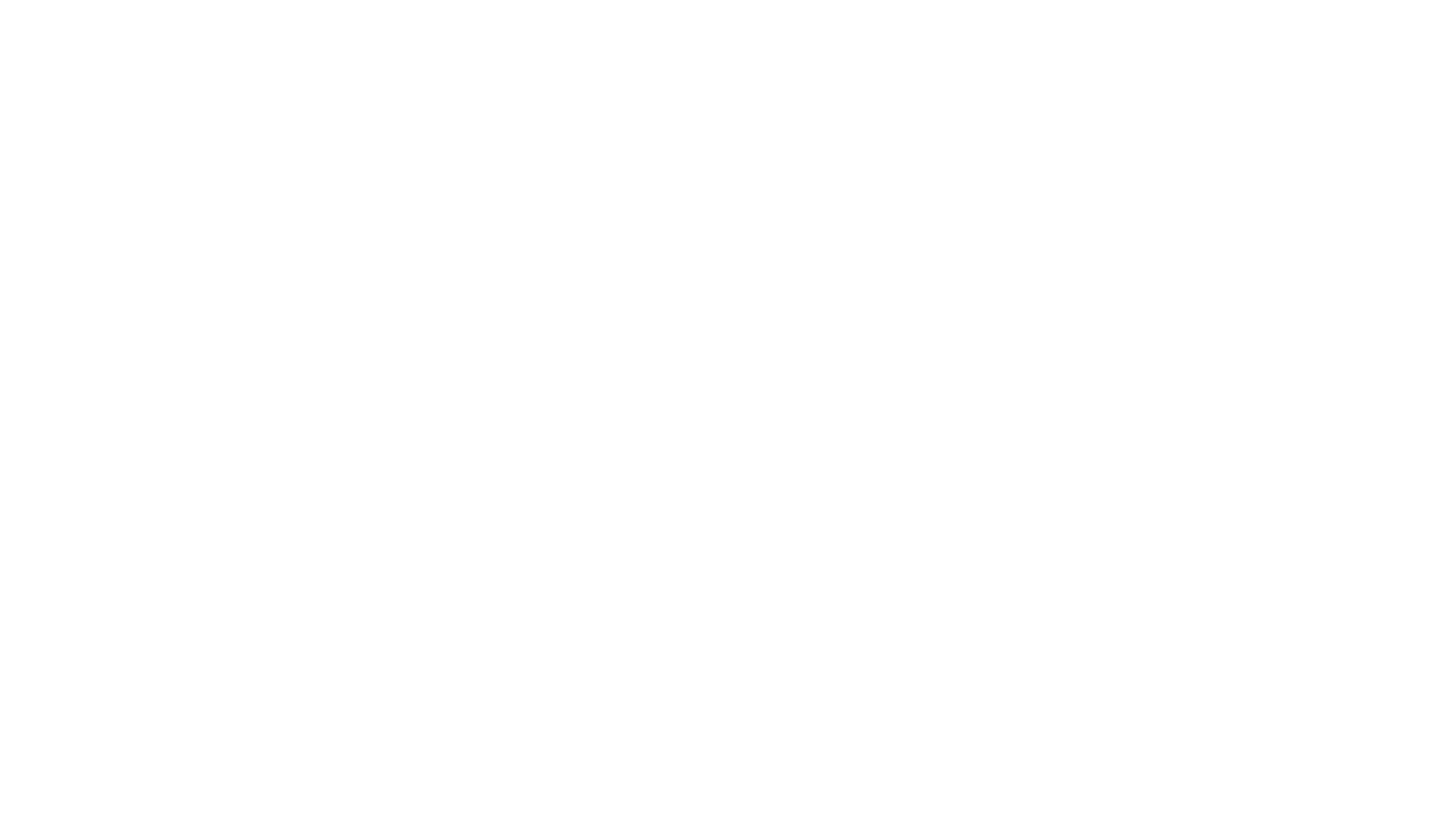 WS Business Solutions